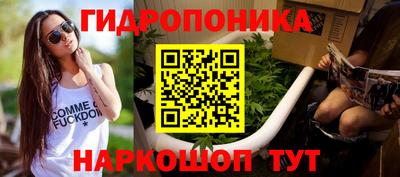 2c-b Новозыбков