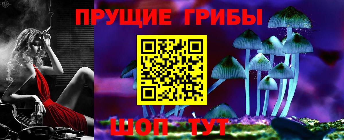Королёв  Псилоцибиновые грибы мухоморы  Галлюциногенные грибы ЛСД  где найти   Вход с VPN 