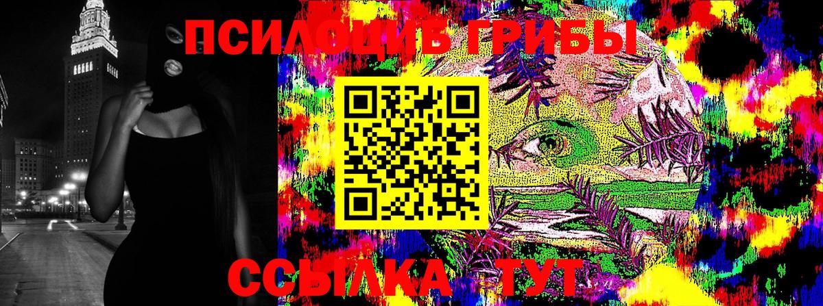 Псилоцибиновые грибы Psilocybe Королёв